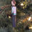 Thumbnail: West Port HS Marching Band Member
