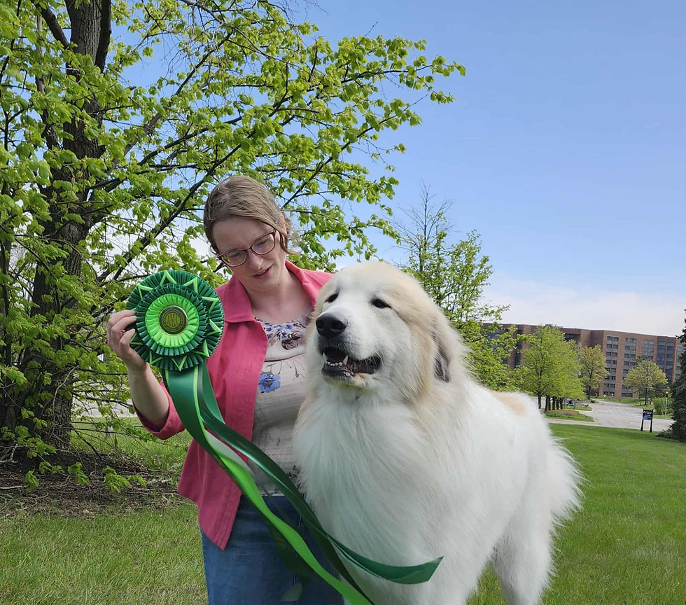 Katie with Ichabod and their Best Bred By Exhibitor ribbon