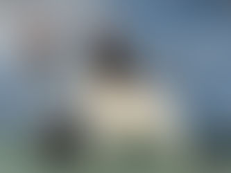 A GRAND update!