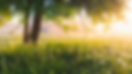 HappyHealing by Heike - Hintergrund .png