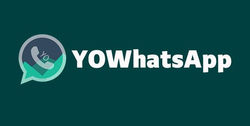 yowhatsapp apk download latest version.p