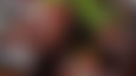 Easy Braised Beef Short Ribs