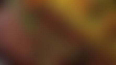 Sticky Glazed Chicken Fried Rice