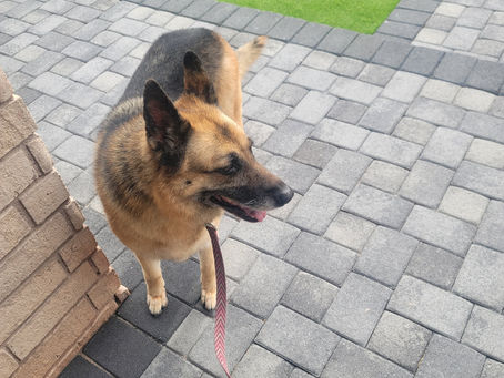 It isn't easy.. but we love it!