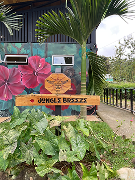 entry_junglebreeze