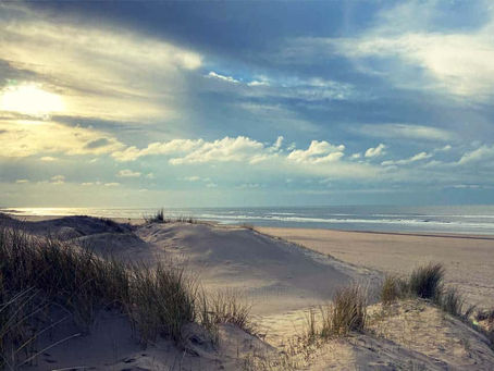 The gay cruising part of Zandvoort Beach