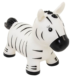 Baby Zebra