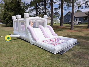 Daisy and Minnie Birthday Besties