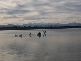 The Benefits of Building a Love Affair with Nature: How Connecting with the Great Outdoors Can Improve Your Well-being & Intimacy
