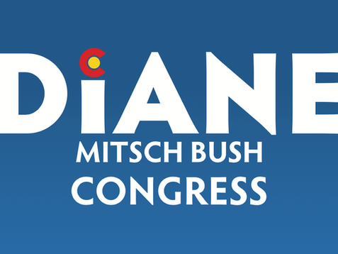 Diane Mitsch Bush Virtual District Tour 