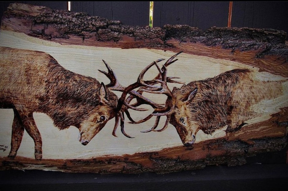 Bull Battles, 12”x20”, 2023