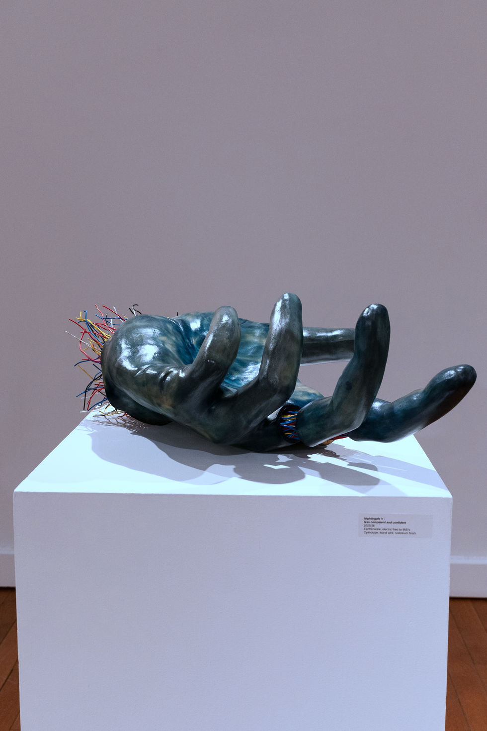 Nightengale V, less competent and confident, Earthenware, electric fired to 955°c, cyanotype, found wire, rustoleum finish, 2025:2026, 11.5"x32"x22", Front View