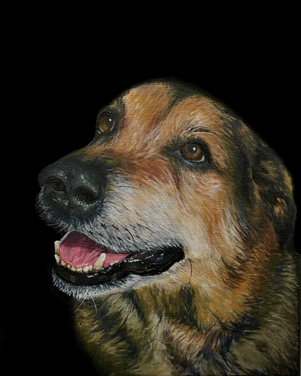 Toby, 10”x8”, Acrylic, 2024
