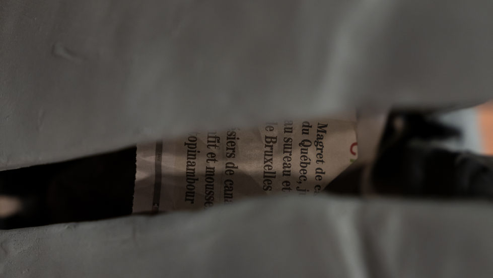 Manual Override - Detail 1
