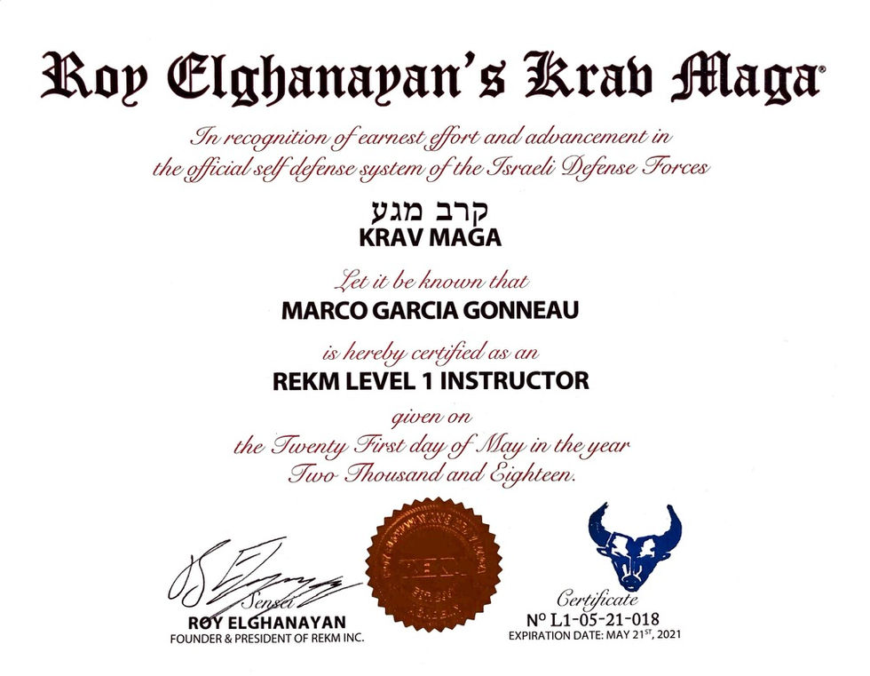 Diplome Instructeur Krav-Maga REKM L1