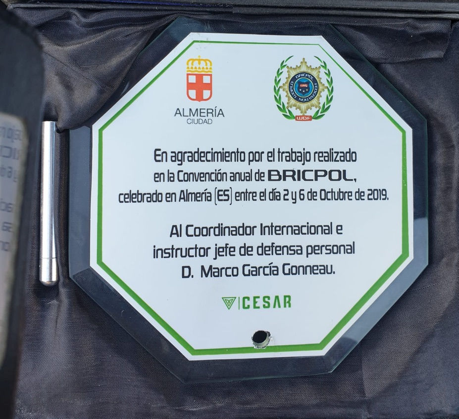 Plaque remerciements stage international BRICPOL