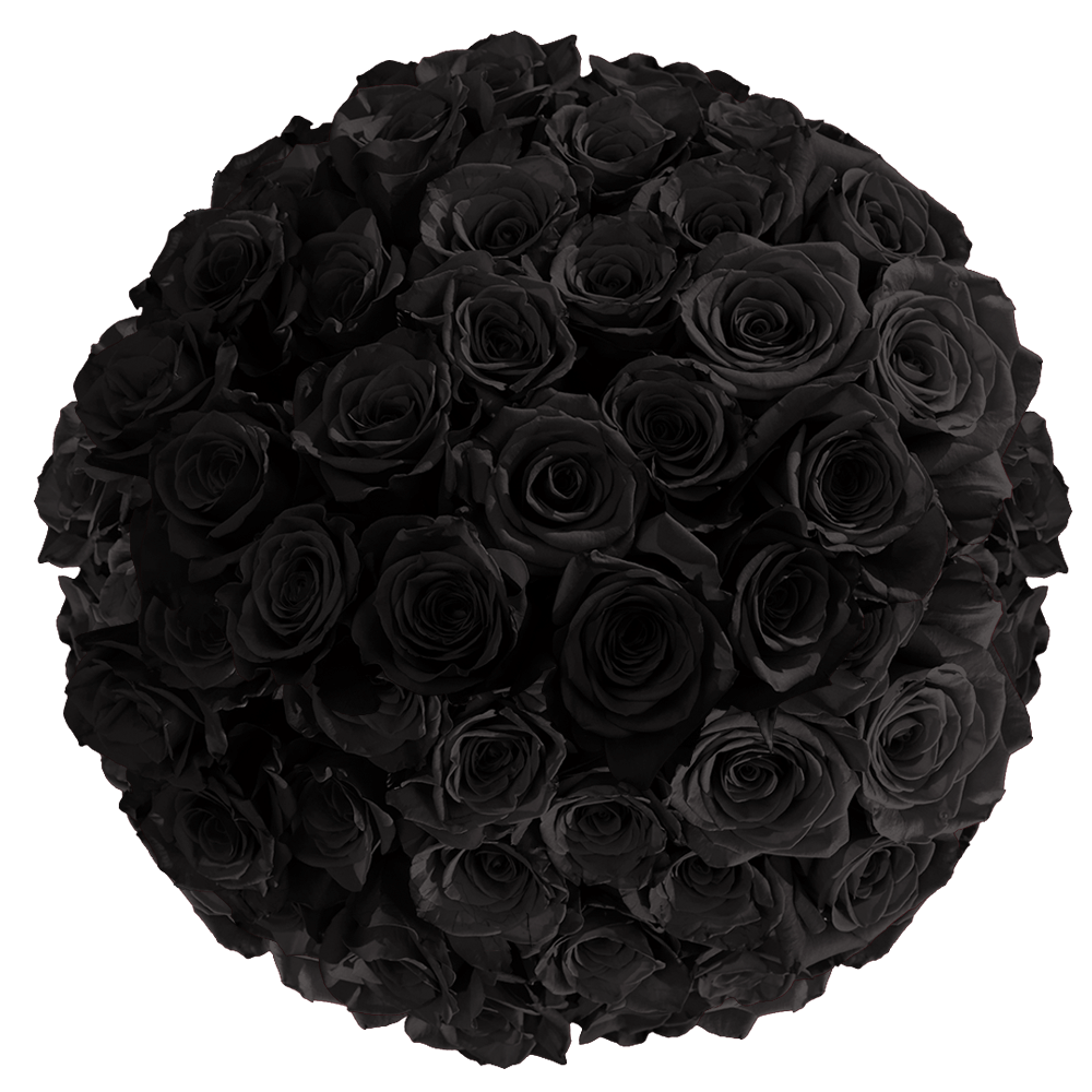 Black Roses 101