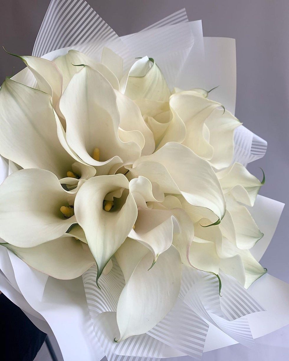 Букет из 51 калл