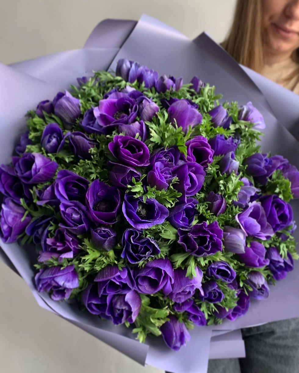 Букет из 51 анемона