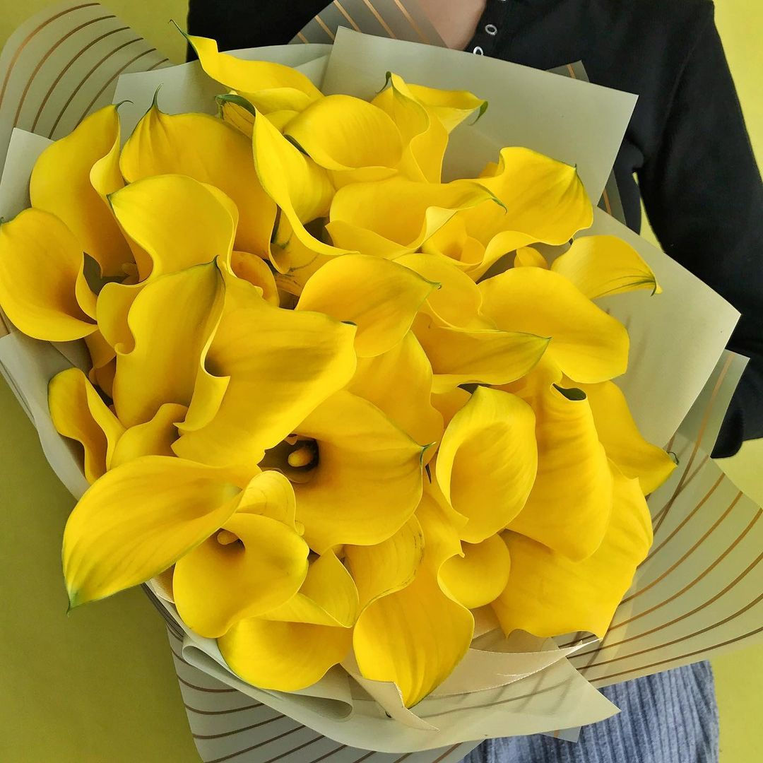 Букет из 51 калл