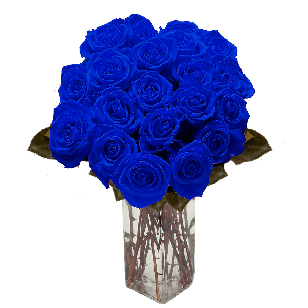 Миниатюра: Blue Roses