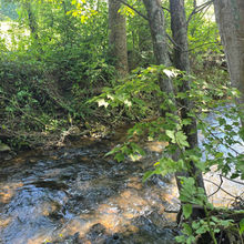 Boylston Creek flowing along the wooded edge of the property