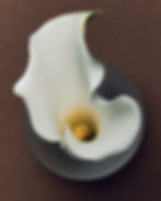 DTS_AURA_Fanette_Guilloud_Photos_ID12993