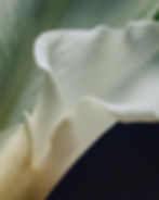 DTS_AURA_Fanette_Guilloud_Photos_ID12991