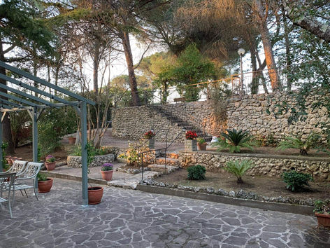 image_6483441 (15).JPG