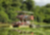 Planifica tu aventura en el Pantanal