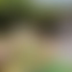 Bonito MS - Destino ideal para melhor idade!