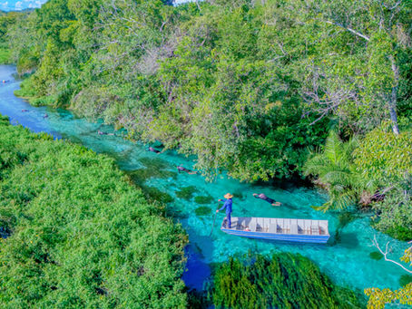 How to Check Available Tours in Bonito in Real Time