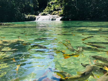 Bonito (MS) en Mayo: ¡El Destino Perfecto para tu Aventura!