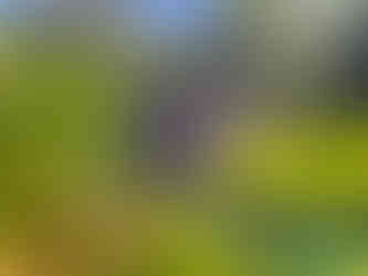 cachoeira do sinhozinho parque das cachoeiras rio mimoso bonito ms