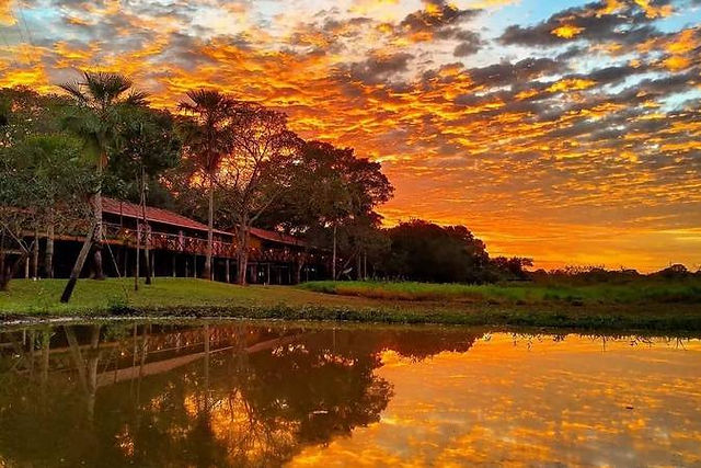 por do sol lindo no pantanal em corumba ms 