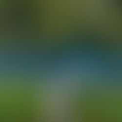 Como é Bonito em Novembro: Verão Quente e Chuvas Rápidas