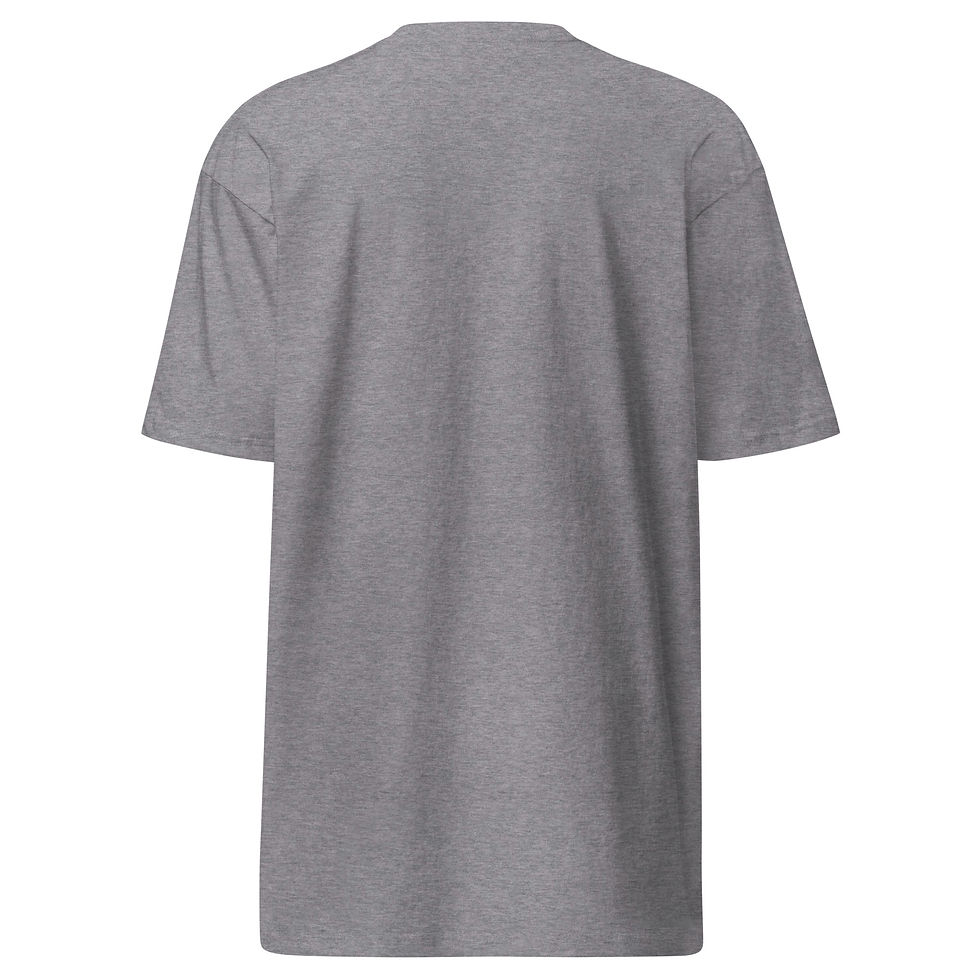 Thumbnail: EX-CON Premium Heavyweight Gray T-Shirt