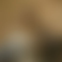 Is Mary a Perpetual Virgin?