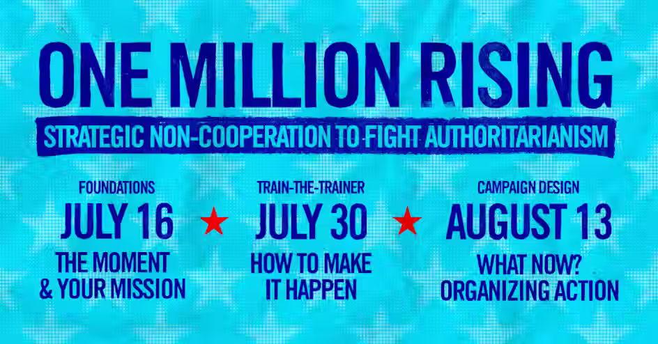 The Moment & Your Mission: Strategic Non-Cooperation to Fight Authoritarianism (National Indivisible)