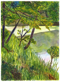 Rivers and Trees 2