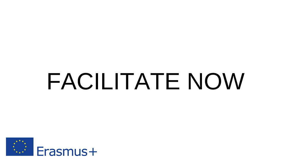 FACILITATE NOW