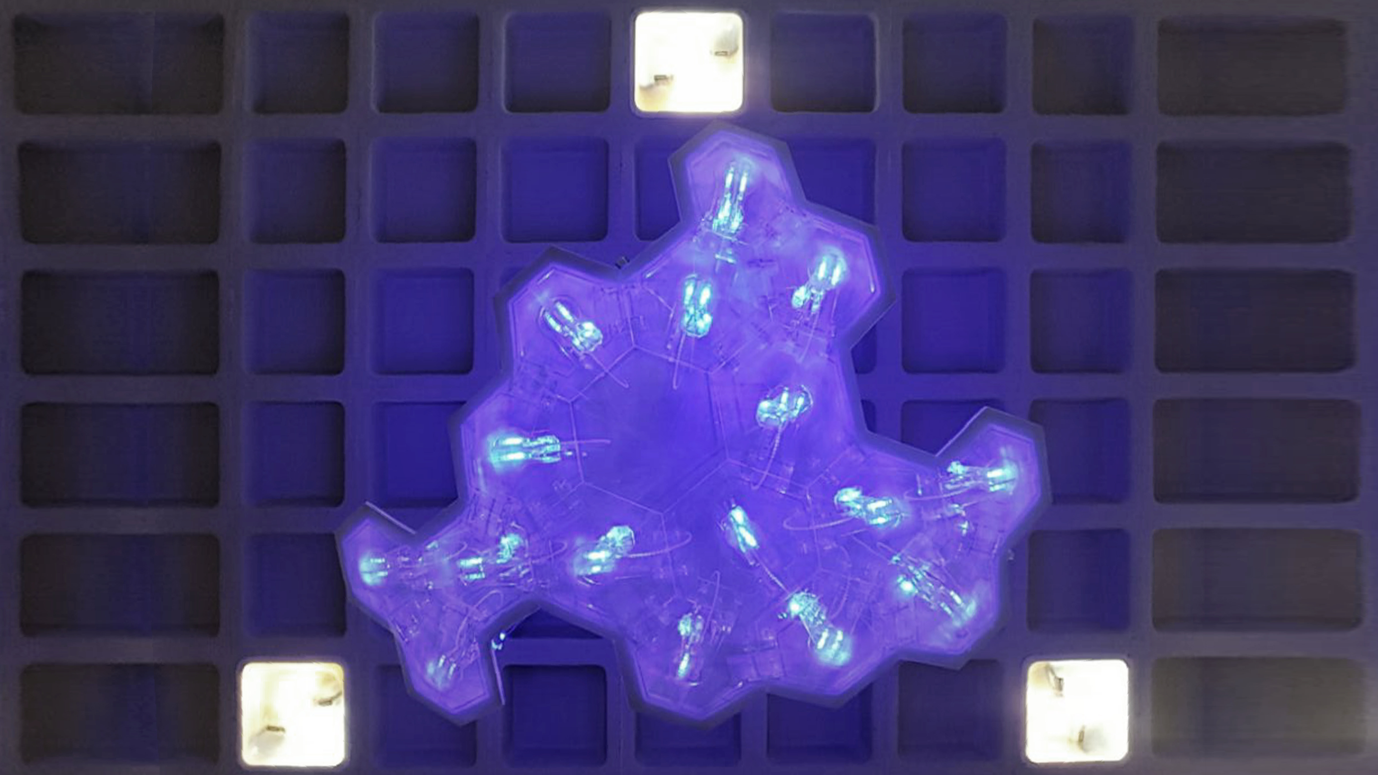 Random Symbiosis