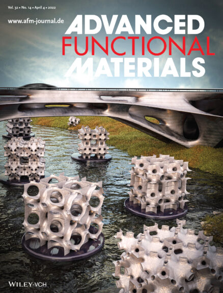 Soap Coating Cellular Structures