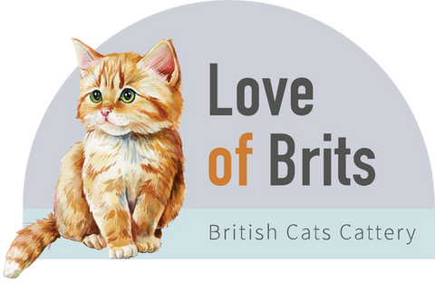 Love of Brits Primary Logo