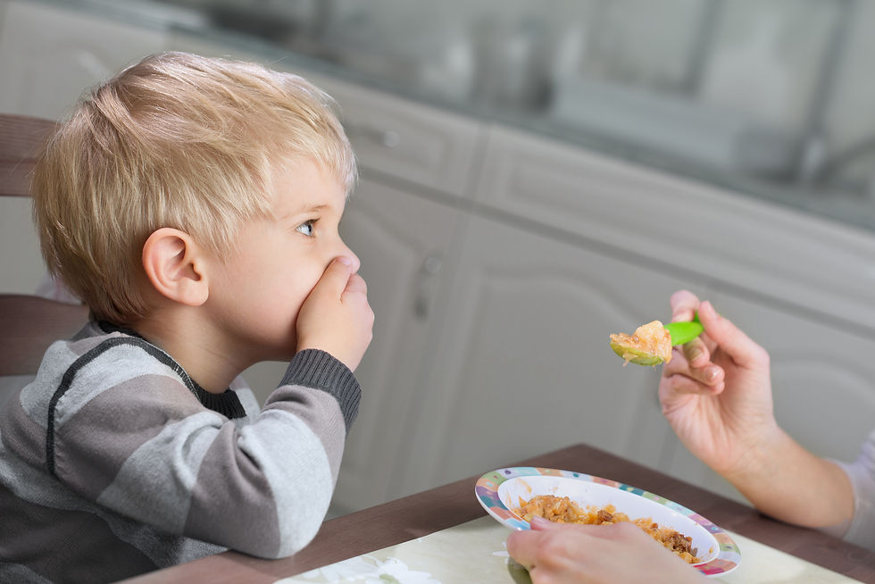 kid picky eater the gustatory system by kozie clothes