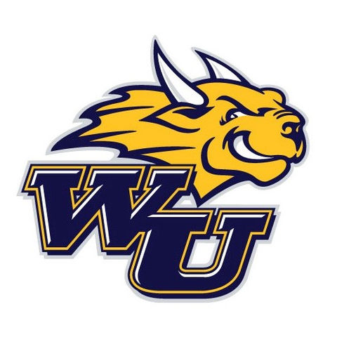 Webster University Athletics.