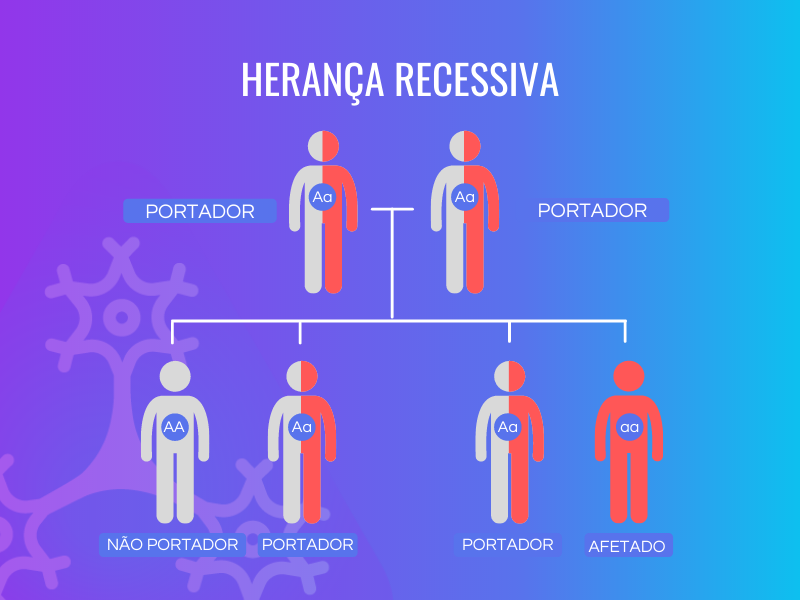 Boneco em branco e vermelho mostrando portadores, boneco branco mostrando não portador e boneco vermelho mostrando afetado