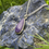Thumbnail: Charoite Pendant + Necklace