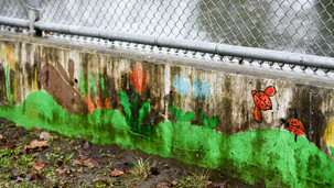 Community Mural Clean-up