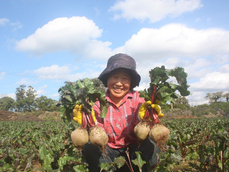 제주농산물 스마트스토어 쇼핑몰제작, 출장야외촬영 및 제품촬영과 온라인마케팅